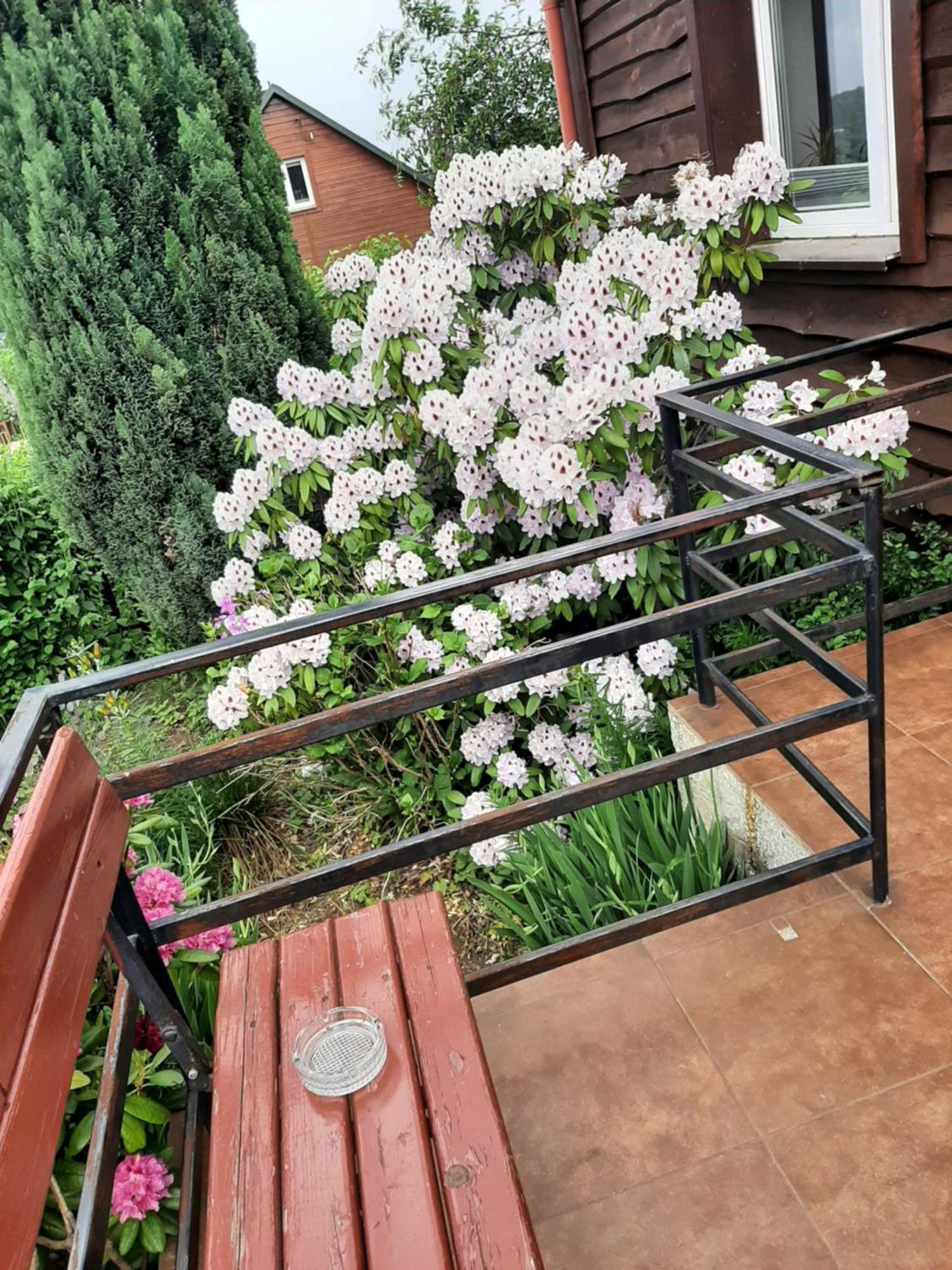 Zielone Zacisze Apartment Zagnansk Exterior photo